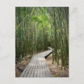 Pipiwai Trail, Nationaal Park Haleakala, Maui Briefkaart (Voorkant)