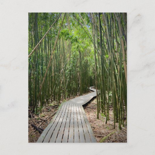 Pipiwai Trail, Nationaal Park Haleakala, Maui Briefkaart (Voorkant)