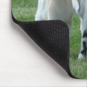 Pippi en Gray Muismat (Hoek)