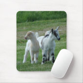 Pippi en Gray Muismat (Met muis)