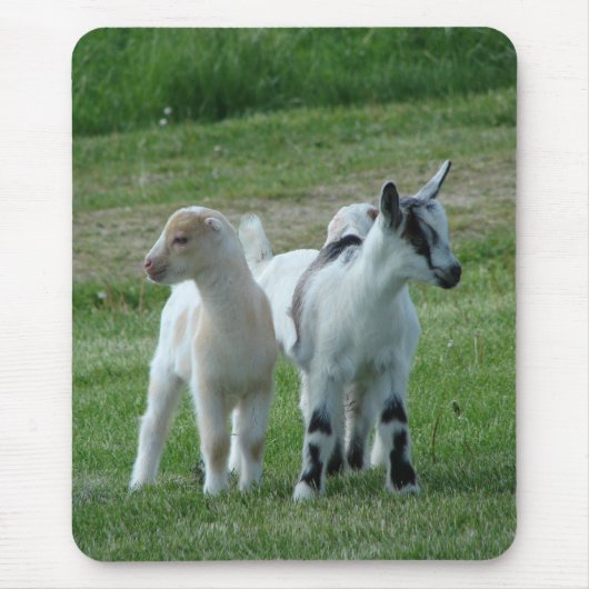 Pippi en Gray Muismat (Voorkant)