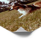 Pippin in het veld poster (Hoek)
