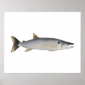 Pirá Yobua Poster (Voorkant)