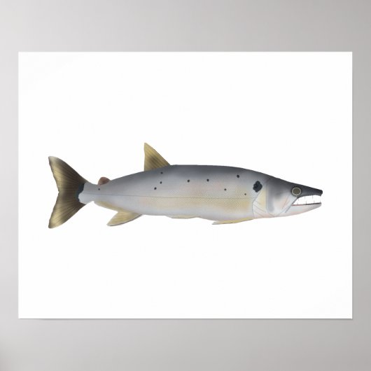 Pirá Yobua Poster (Voorkant)