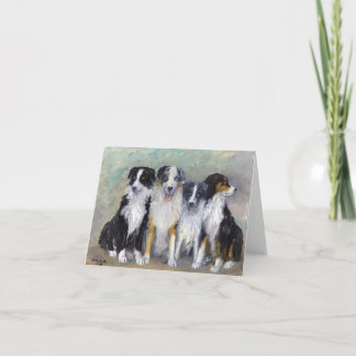 Piraat en Dochters - Australische Herders Kaart