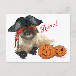 Piraat Hondje Briefkaart