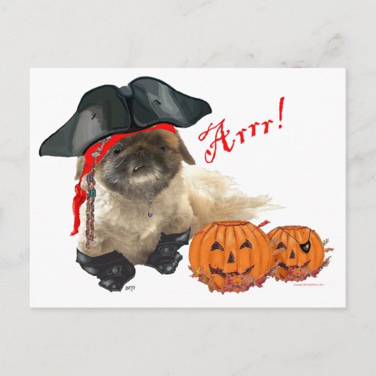 Piraat Hondje Briefkaart (Voorkant)