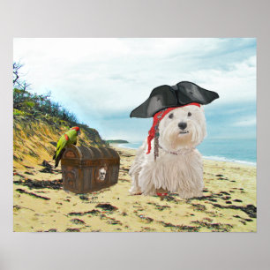 Piraat Westie Poster