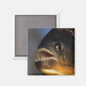 Piranha Close-up Magneet (Voorkant / Achterkant)