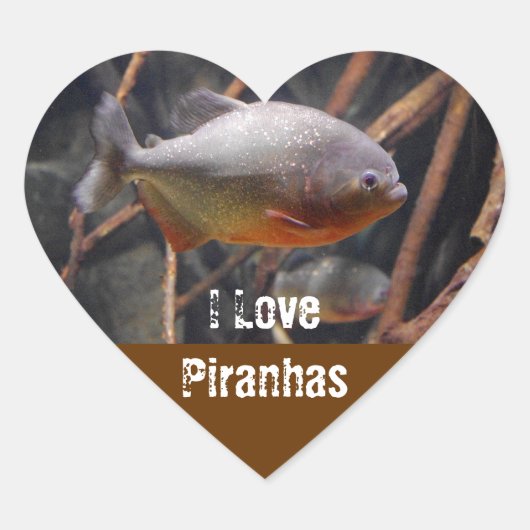 Piranha - onschuldige ogende bruine vis hart sticker (Voorkant)