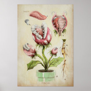 Piranha Plant Botanische illustratie Poster
