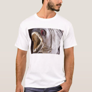 Piranha vis als trofee op geïsoleerd hout t-shirt