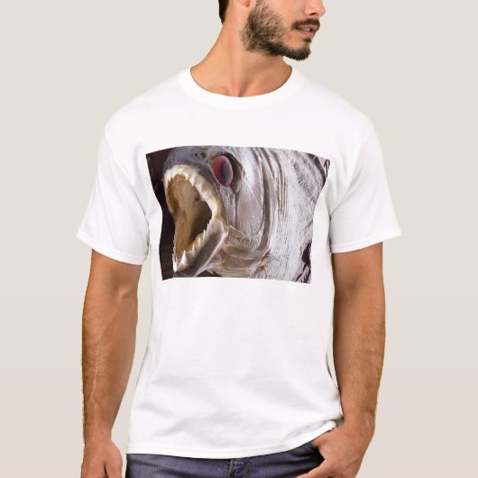 Piranha vis als trofee op geïsoleerd hout t-shirt (Voorkant)