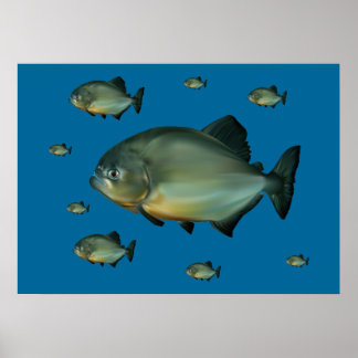 Piranhas Poster