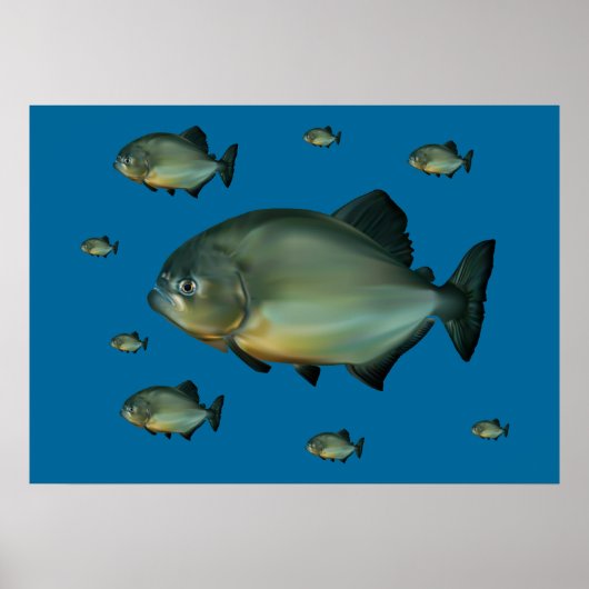 Piranhas Poster (Voorkant)