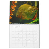 Piranhas Wall Calendar Kalender (Feb 2026)