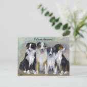 Pirate and Daughters - Australische herders Briefkaart (Staand voorkant)