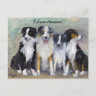 Pirate and Daughters - Australische herders Briefkaart