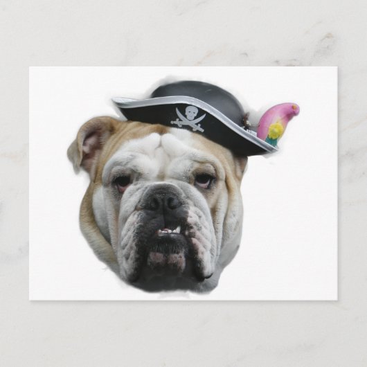 Pirate Bulldog Briefkaart (Voorkant)