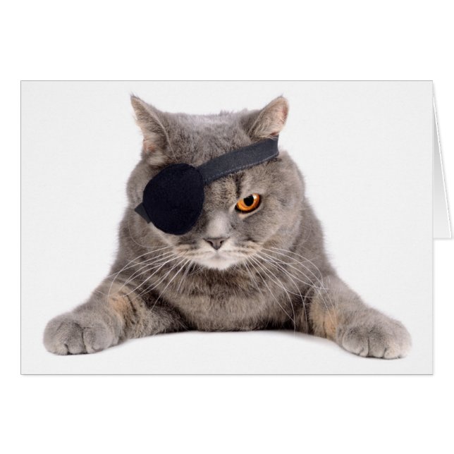 Pirate Cat (Voorkant Horizontaal)