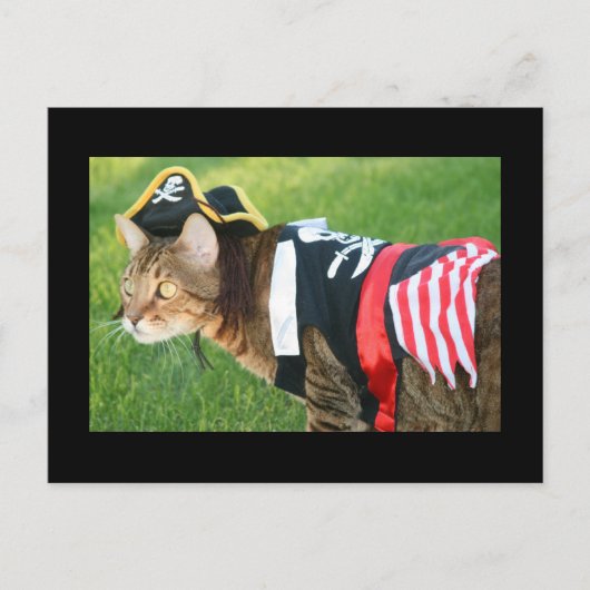 Pirate Cat Briefkaart (Voorkant)