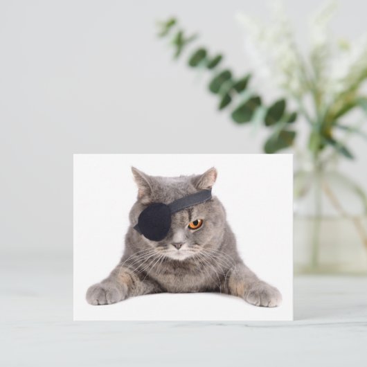 Pirate Cat Briefkaart (Staand voorkant)