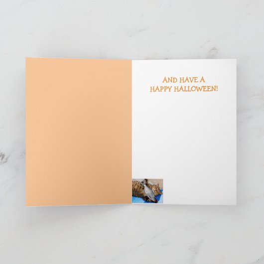 Pirate Cat en Fish Halloween Kaart (Binnen)