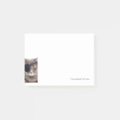 Pirate Cat Post-it® Notes (Voorkant)