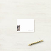 Pirate Cat Post-it® Notes (Op bureau)