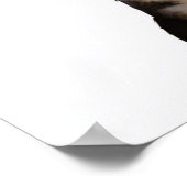 Pirate Cat Poster (Hoek)