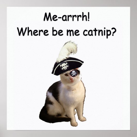 Pirate Cat Poster (Voorkant)