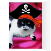 PIRATE CAT, praat als een piraatdag (Binnen (Links))