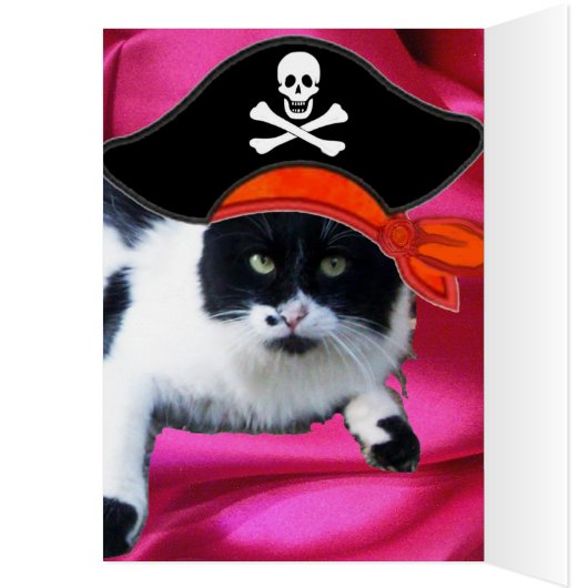 PIRATE CAT, praat als een piraatdag (Binnen (Links))