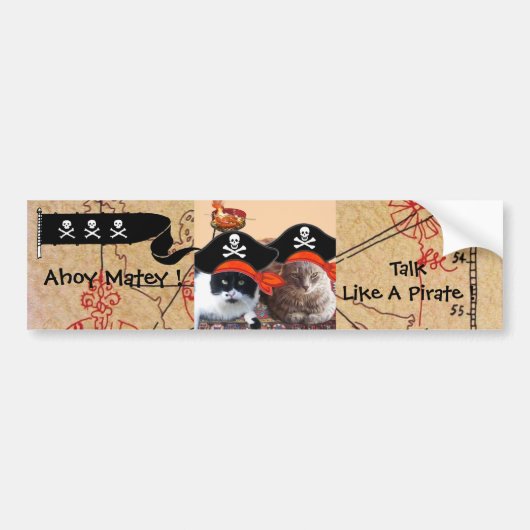 PIRATE CATEGORIEËN ANTIEK PIRATEN BEHANDELINGSKAAR BUMPERSTICKER (Voorkant)