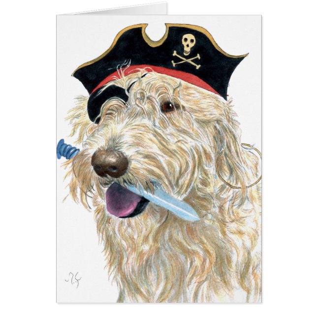 Pirate Cream Labradoodle (Voorkant)