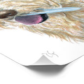 Pirate Cream Labradoodle Foto Afdruk (Hoek)