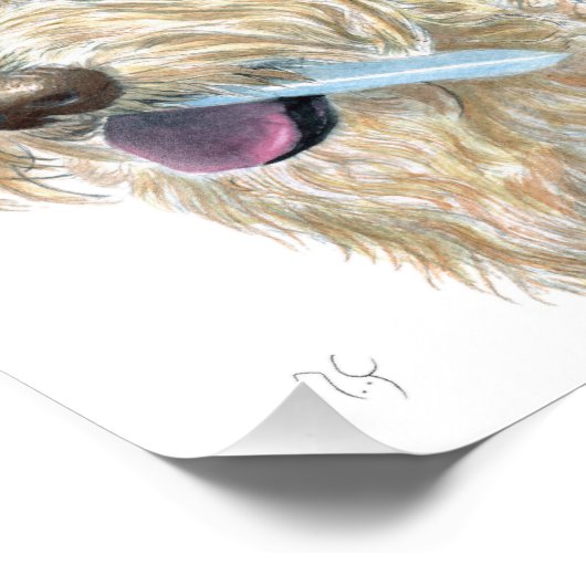 Pirate Cream Labradoodle Foto Afdruk (Hoek)