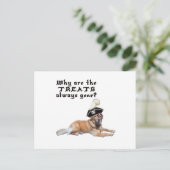Pirate Dog-behandelingen Briefkaart (Staand voorkant)