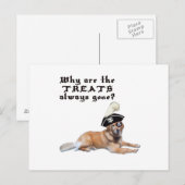 Pirate Dog-behandelingen Briefkaart (Voorkant / Achterkant)