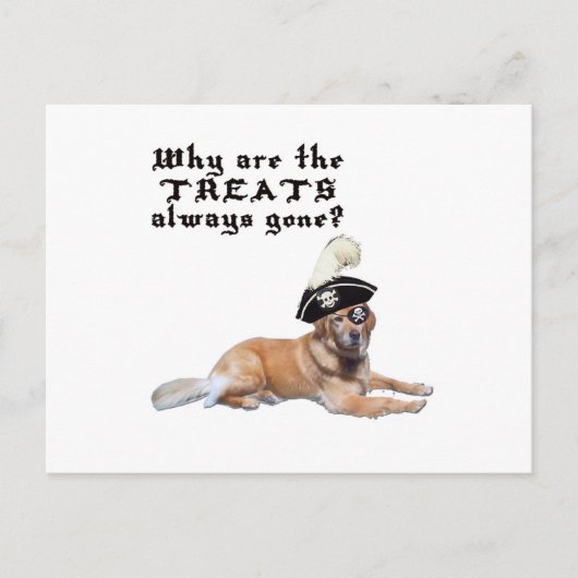 Pirate Dog-behandelingen Briefkaart (Voorkant)