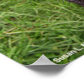 Pirate dog, black lab, red hankerchief groene gras poster (Hoek)