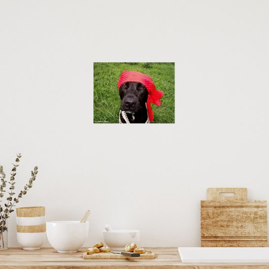 Pirate dog, black lab, red hankerchief groene gras poster (Keuken)