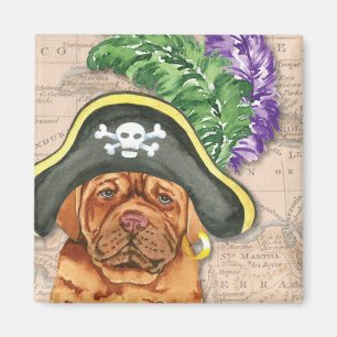 Pirate Dogue de Bordeaux Magnet