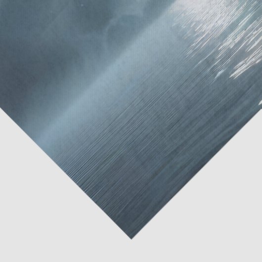 Pirate Dreams Tissuepapier (Detail)