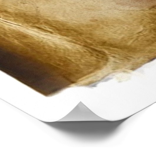 Pirate kaart om eiland te geruststellen poster (Hoek)