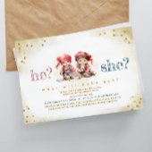 Pirate Kinderen die hij of zij seksueel Baby showe Kaart