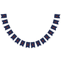 Pirate nautische blauwe jongen