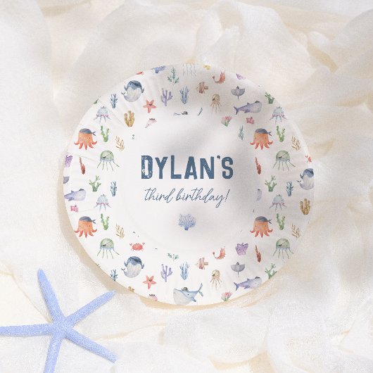 Pirate Ocean Under The Zee Boy Verjaardagsfeestje Papieren Bordje