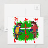 PIRATE PARROTS BRIEFKAART (Voorkant / Achterkant)