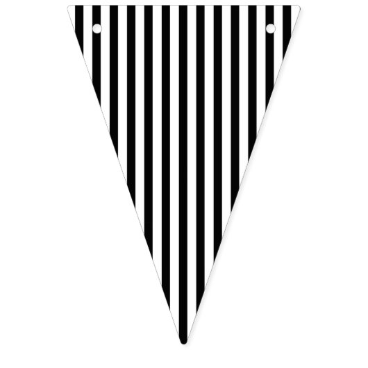 Pirate Party Bunting Flag Vlaggetjes (Tweede vlag)